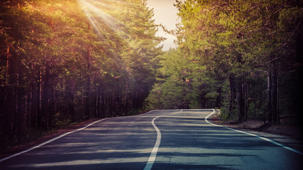 A winding mountain road at sunset in a pine forest. Serpentine. Sun rays light and shadow sun