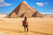 Egyptians on camels near the complex of Giza Pyramids, Egypt