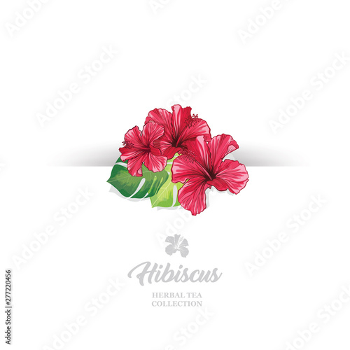 Tea Banner or Card with Hawaiian Hibiscus Red Fragrance Flower. Bright Green ...