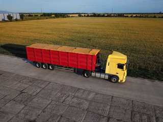 Wall Mural - Modern bright truck on road near wheat field