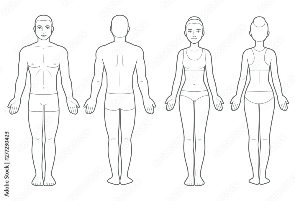 Male and female body chart - obrazy, fototapety, plakaty 