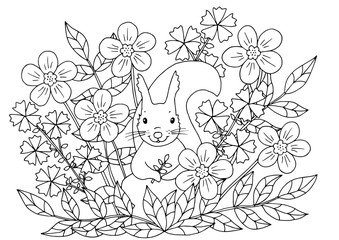 Poster - Coloring page with flowers and squirrel