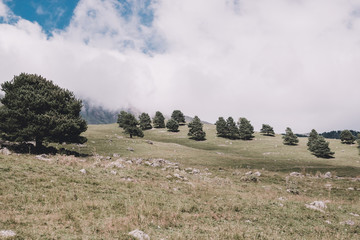 Panorama view of forest and mountains scenes in national park Dombay