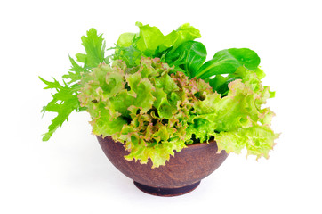 Bowl with fresh green organic leaves. Photo