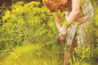 © Mihail - female gardener cut the herbs in the garden