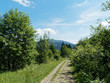 Schwarzwaldlandschaften. Panoramaberg, Wanderweg Nonnenmattweiher. Blick auf die kurvenreiche Straße nach Haldenhof und Munstertal