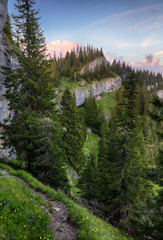 Sticker - Mountain with rocks and forest - Ohniste, Low Tatras