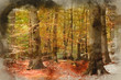Digital watercolour painting of Vibrant Autumn Fall forest landscape image