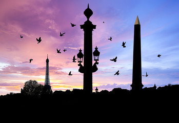 Wall Mural - Silhouettes of the Eiffel Tower, Luxor Obelisk and Colonne Rostrate in Paris, France at sunset with birds in the sky.