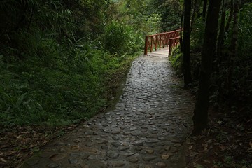 Canvas Print - path in the park