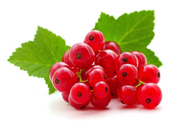 Sticker - Red currants with green leaves.