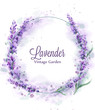 Lavender wreath Vector watercolor splash. Delicate floral bouquet frame. Spring summer banner templates