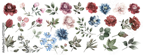 Flower set. Blue flowers,pink and Burgundy roses, twigs, leaves. For composit...