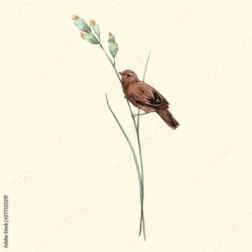 Watercolor vector bird on the flower