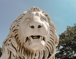 white sculpture close-up of a lion's head with open maw with fangs and mane in the sunlight