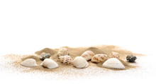 Sea Shells In Sand Pile Isolated On White Background