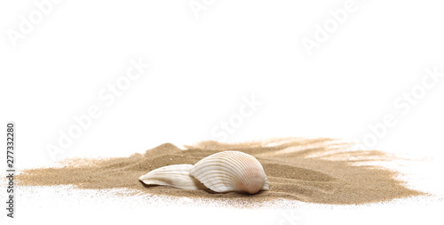 Fotografía Sea shells in sand pile isolated on white background