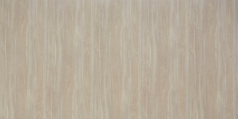 wood oak tree close up texture background. wooden floor or table with natural pattern