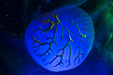 science fiction concept, alien microorganism microscopic view under ultraviolet light