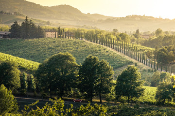 Wall Mural - Castelvetro di Modena hills at sunset. Castelvetro, Modena province, Emilia Romagna, Italy