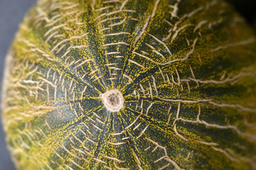 Partial view of a fresh, green honey melon on a market in Spain.