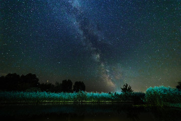 Wall Mural - Starry sky and the milky way over water and trees.