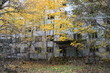 View of Soviet building in Pripyat Town in Chernobyl Exclusion Zone