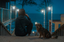 A Woman In The Light Of Street Lamps And A Stray Dog In The Evening.
