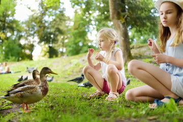 Two cute little sisters feeding birds on summer day. Children feeding pigeons and ducks outdoors.