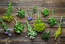 Assorted Garden Fresh Herbs On Wooden Background