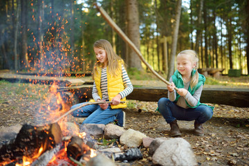 Wall Mural - Cute young sisters roasting hotdogs on sticks at bonfire. Children having fun at camp fire. Camping with kids in fall forest.