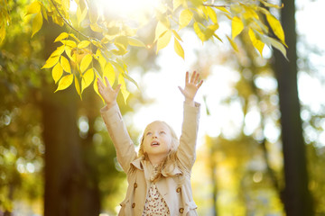 Wall Mural - Adorable young girl having fun on beautiful autumn day. Happy child playing in autumn park. Kid gathering yellow fall foliage.