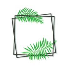 Paper Cut Black Frame With Tropical Leaves. Two Dark Inclined Square Frames Lie One On Another. Vector Card Illustration With Place For Selling Advertising Text. 3d Photoframe On White Background