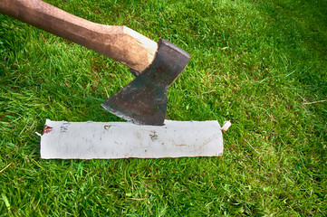 garden tools axe stuck in a birch piece of wood side view