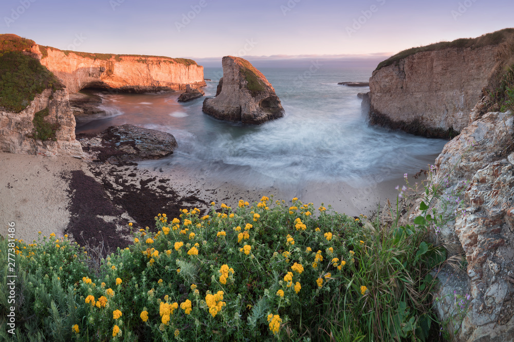 Panoramic view over Shark Fin Cove (Shark Tooth Beach). Davenport, Santa Cruz County, California, USA. Sunset in California - waves and sun hitting these beautiful rock formations with flowers. - obrazy, fototapety, plakaty 
