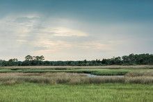 Florida Marsh Land Near The Coast View At Sunset At A State Park. Wetlands In A State Park Near The Beach.