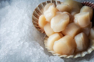 Sea delicacies. Fresh seafood. Scallops on ice.