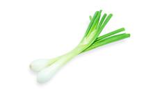 Green Onion Isolated On White Background. Fresh Scallion, File Contains With Clipping Path So Easy To Work.