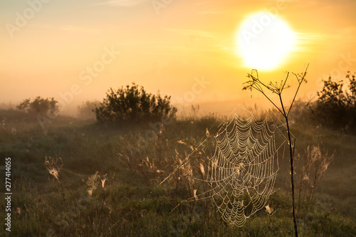 summer landscape with sunrise and fog
