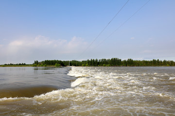 Poster - swift river in nature