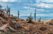 canvas print picture - Hikers On Elevated Desert Trail In Scottsdale, AZ,