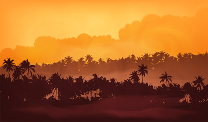 Wall Mural - Palm trees silhouettes in yellow fog, tropic forest in sunset light vector illustration for banner background