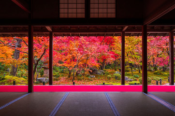 Wall Mural - 京都　圓光寺の紅葉　　