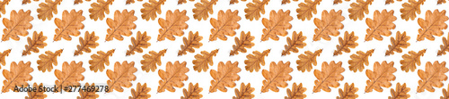 Panorama pattern of autumn leaves of oak