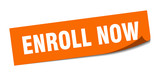 Fototapeta  - enroll now sticker. enroll now square isolated sign. enroll now