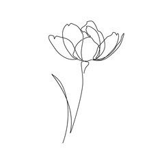 Abstract flower in one line art drawing style. Black line sketch on white background. Vector illustration