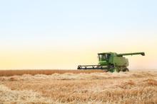 Combine Harvester In Wheat Field