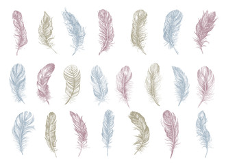 Wall Mural - Feather icon set. Hand drawn illustration. Doodle sketch.