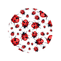 Beautiful red lady bug art illustration 