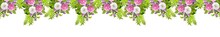 Beautiful Wide Banner With Floral Garland Consists Of Lilacs Flowers, Dog Roses (briar) And Green Leaves Isolated On White Background.